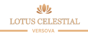 TVS Emeral Auralis Logo